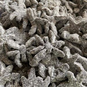 DAMEL ARAIGNÉES NOIRES SUCREE (100g)