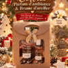 Coffret parfum d'ambiance et brume d'oreiller – Senteurs Vanille