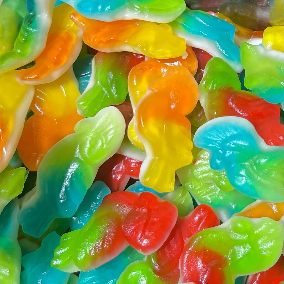 PERROQUET ASSORTIS (100g)