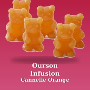 Oursons infusion Cannelle Orange - 20 pièces 50g