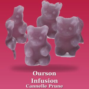 Oursons infusion Cannelle prune - 20 pièces 50g