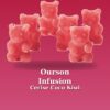 Oursons infusion cerise coco kiwi 20 pièces 50g